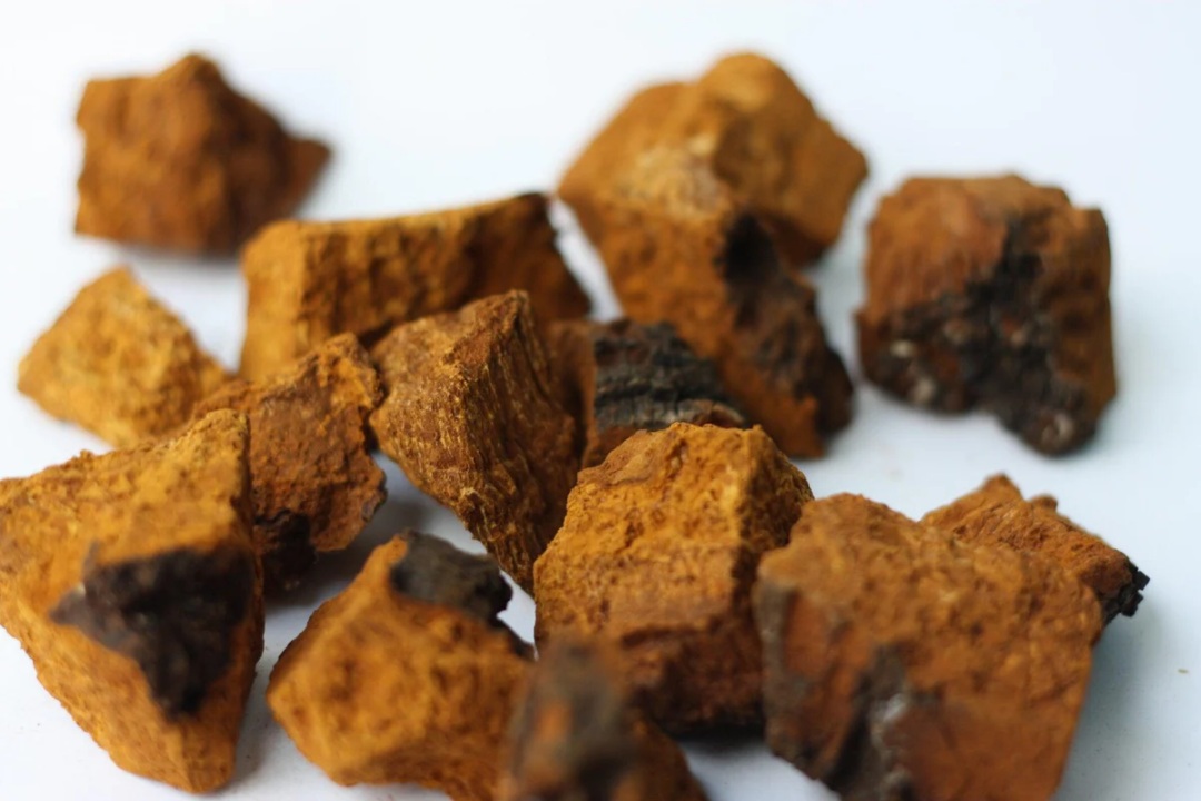O Segredo para uma Pele Radiante: Descubra os Benefícios do Chaga