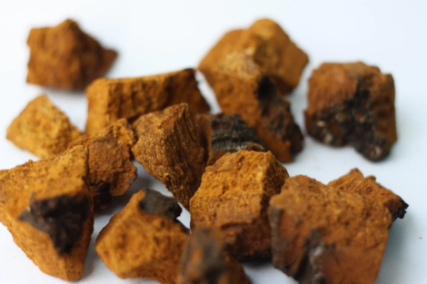 O Segredo para uma Pele Radiante: Descubra os Benefícios do Chaga